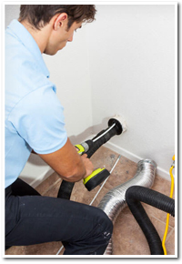 Professional Dryer Vent Cleaning